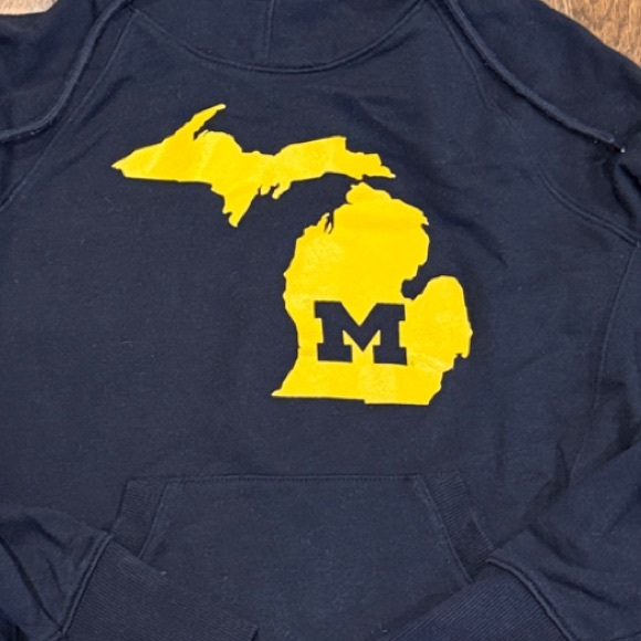 University of Michigan Champion Unisex Hoodie - Picture 2 of 5